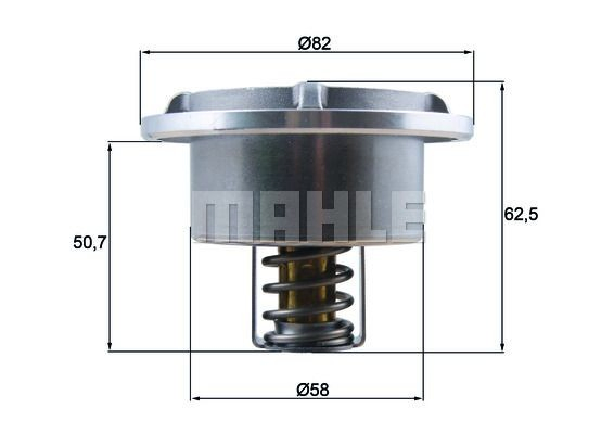 Caja del termostato para Iveco Stralis I 